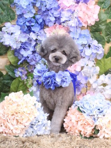 20250621るいくん